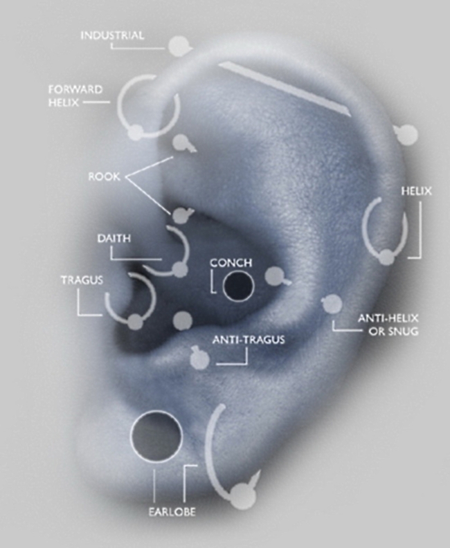 diagram of ear piercings