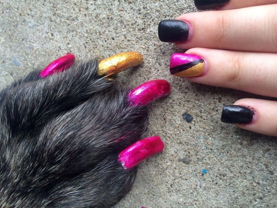 pet owner matching nails 5959e832e1eda 700