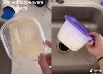 TikTok user Adi Kempler showed just how easy it is to clean your stained containers. (TikTok)