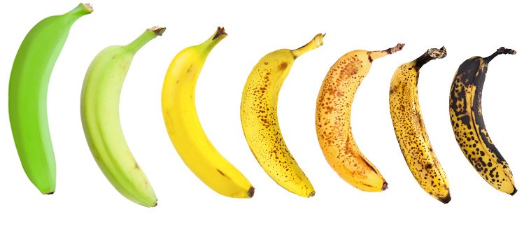 Bananas 759x419 1