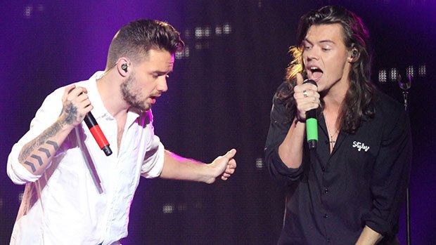 Liam Payne fans ecstatic as One Direction star teases new 
