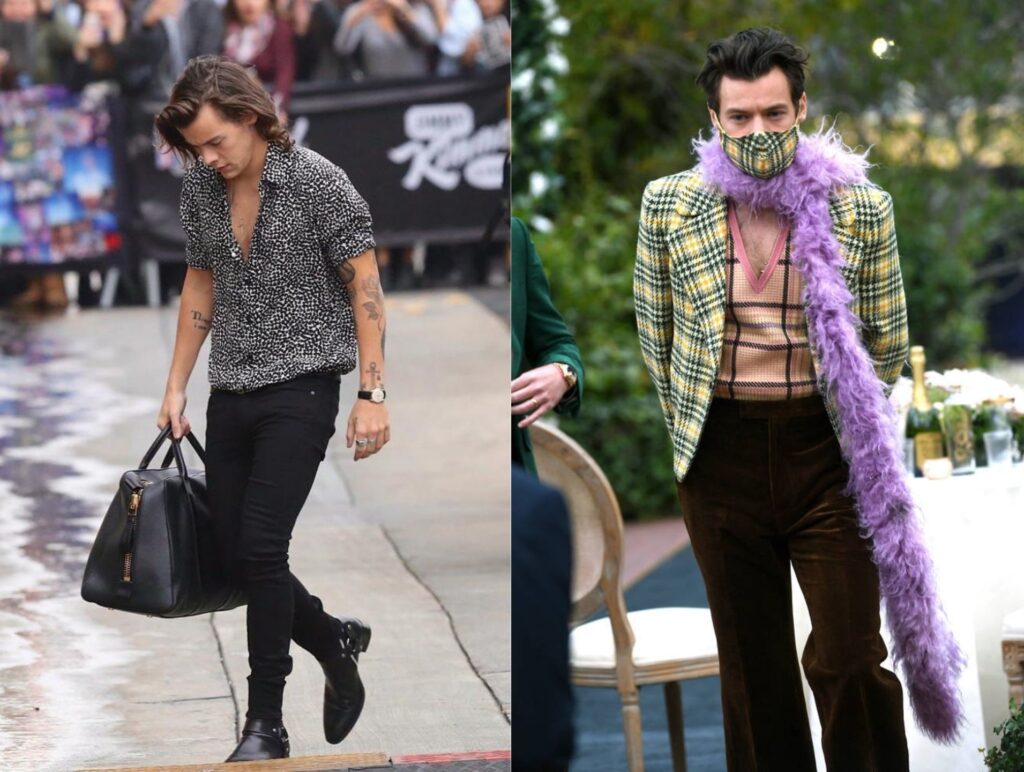 Harry Styles: Stylish and Charming