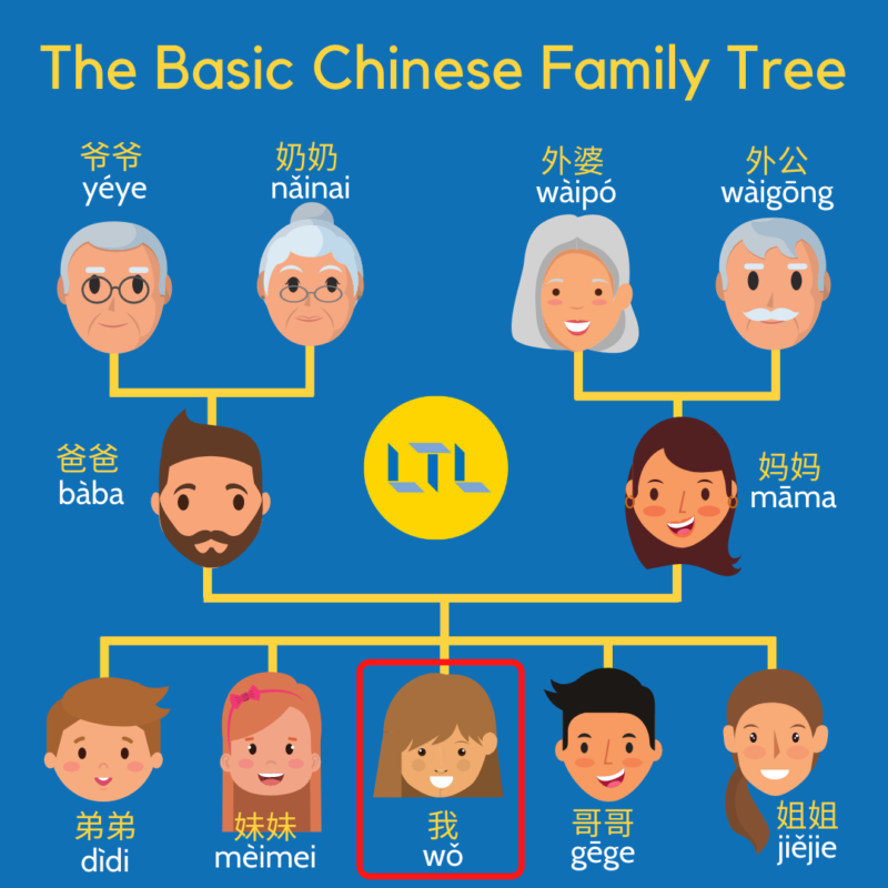 The Chinese Family Tree 800x800 1