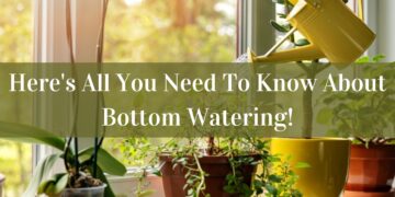 gardeningknowhow.com