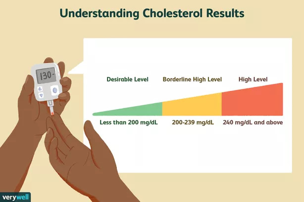 what is a total cholesterol level 698073 b6bf870bf8a149bebb755fdcb31aa82c