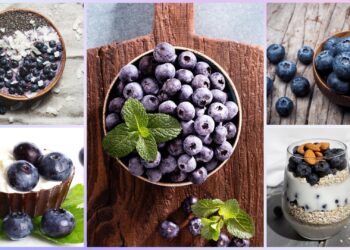 US Highbush Blueberry Council