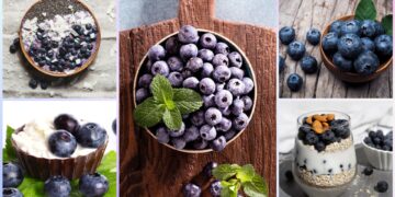 US Highbush Blueberry Council