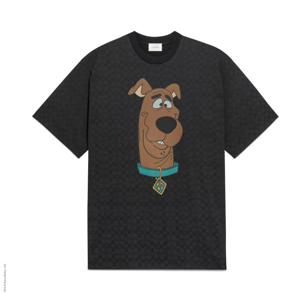 CE133 A0R SCOOBY DOO T SHIRT WASHED BLACK RGB HR300